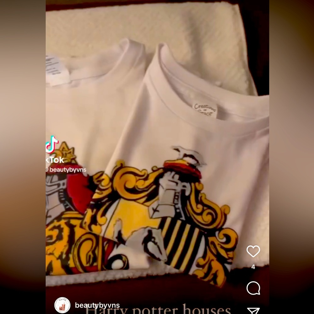 Harry Potter houses themed read, description